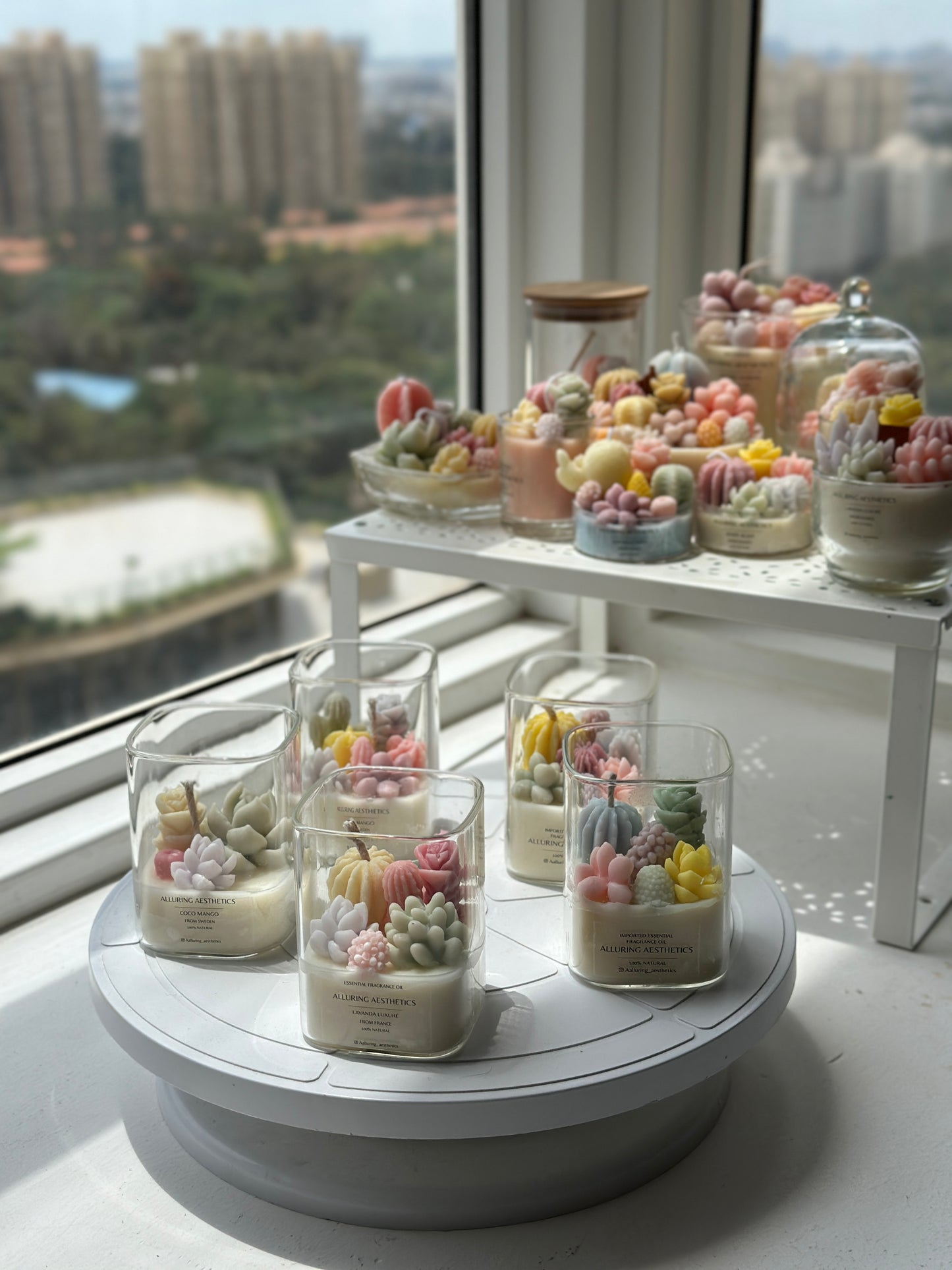 Succulent de jar 🌵🫙🩷