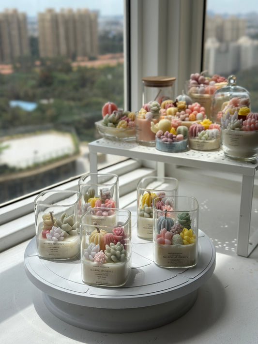 Succulent de jar 🌵🫙🩷