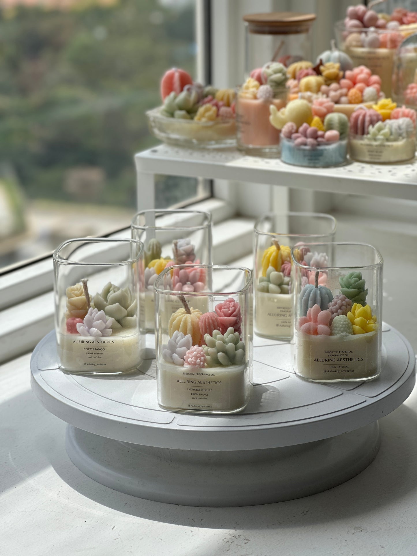 Succulent de jar 🌵🫙🩷