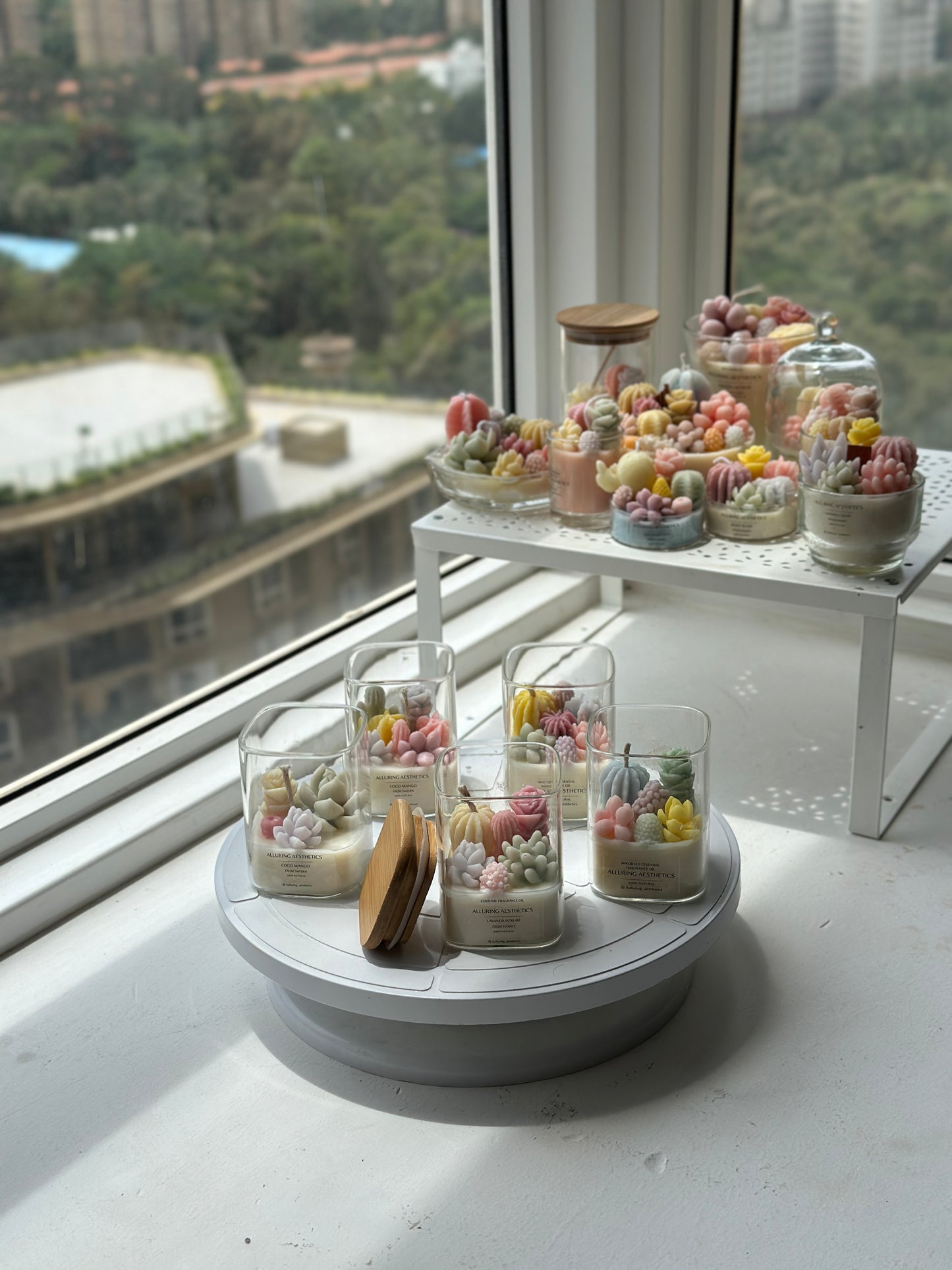 Succulent de jar 🌵🫙🩷