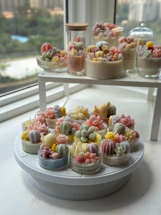 Succulent de tea-light 🌵✨